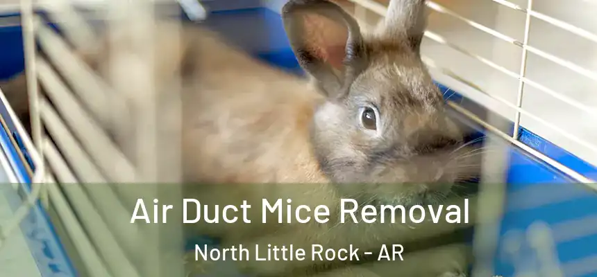 Air Duct Mice Removal North Little Rock - AR