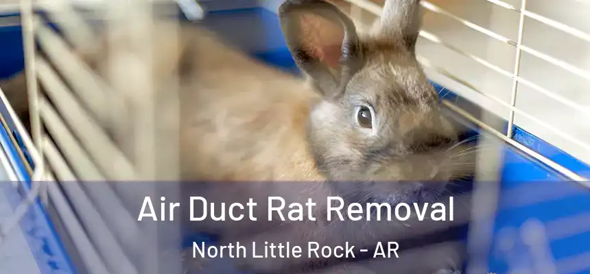 Air Duct Rat Removal North Little Rock - AR