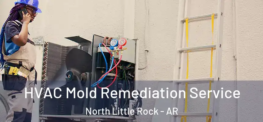  HVAC Mold Remediation Service North Little Rock - AR