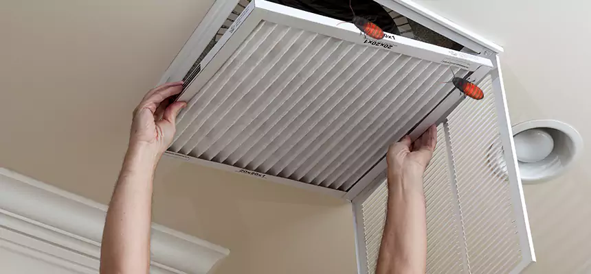 Preventive Cockroach-Proofing for Ducts in North Little Rock