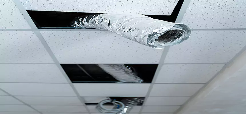 Affordable HVAC Sanitizing After Pest Removal in North Little Rock