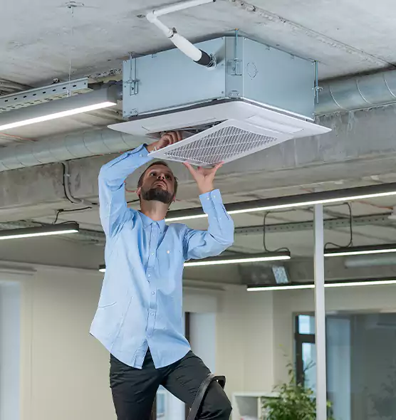 Advanced Rodent Droppings In Vents in North Little Rock, AR