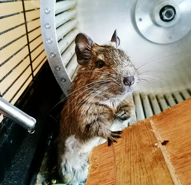 Why Homeowners & Businesses Trust Us North Little Rock, AR?